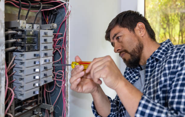 Best Ceiling Fan Installation Electrician  in Buckeystown, MD